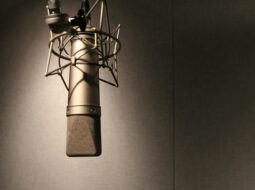 Voice Acting