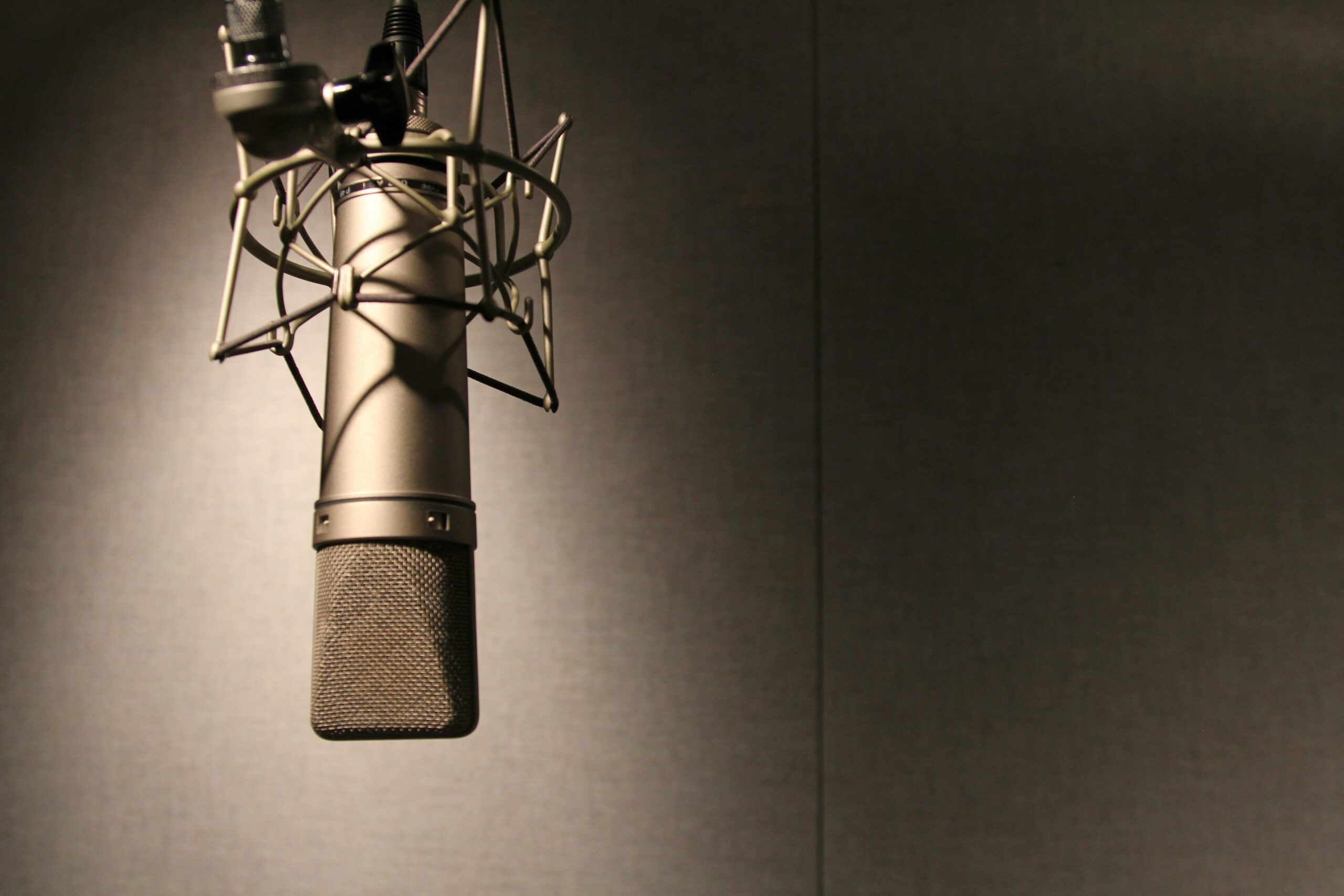 Voice Acting